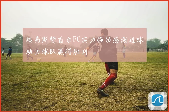 路易斯赞首尔FC实力强劲感谢进球助力球队赢得胜利